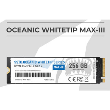 SSD SSTC 256Gb E130 Oceanic Whitetip E130 W2100-R1300 Mb/S M.2 2280 Nvme Pcie Gen 3