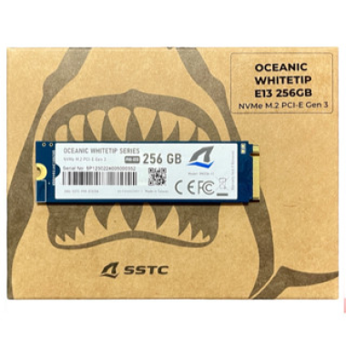 SSD SSTC 256Gb E130 Oceanic Whitetip E130 W2100-R1300 Mb/S M.2 2280 Nvme Pcie Gen 3