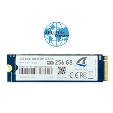 SSD SSTC 256Gb E130 Oceanic Whitetip E130 W2100-R1300 Mb/S M.2 2280 Nvme Pcie Gen 3