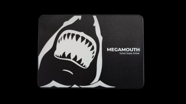 SSD SSTC MEGAMOUTH M110 128GB SATA III